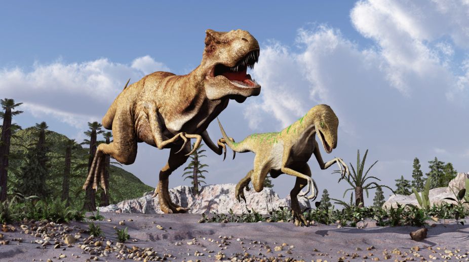 T-rex dinosaur could not have run at high speed, says study