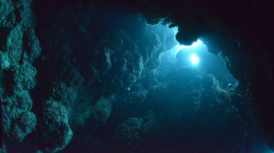 MH370 search reveals hidden undersea world