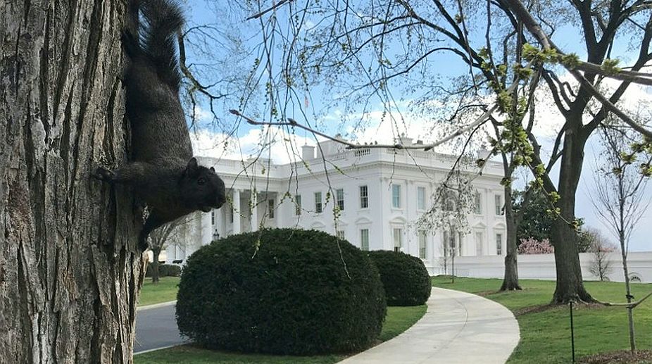 White House set for renovation