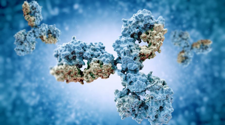 Human antibodies produced in lab to treat diseases