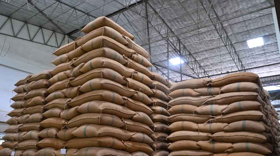 FCI let over 4 lakh tonne wheat rot away: CAG