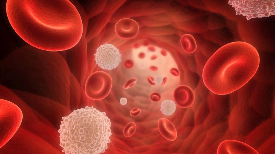 Novel drug may provide hope for blood cancer patient