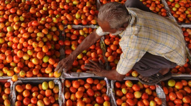 Congress sells tomatoes outside Uttar Pradesh assembly