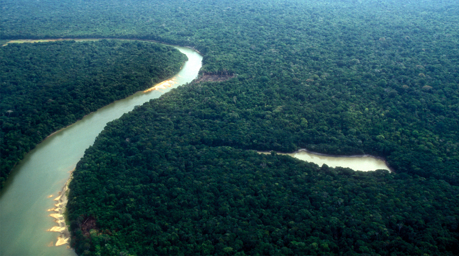 Brazil opens Amazon national reserve for mining
