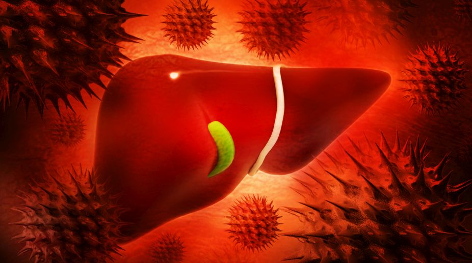 Liver inflammation may raise risk of heart diseases