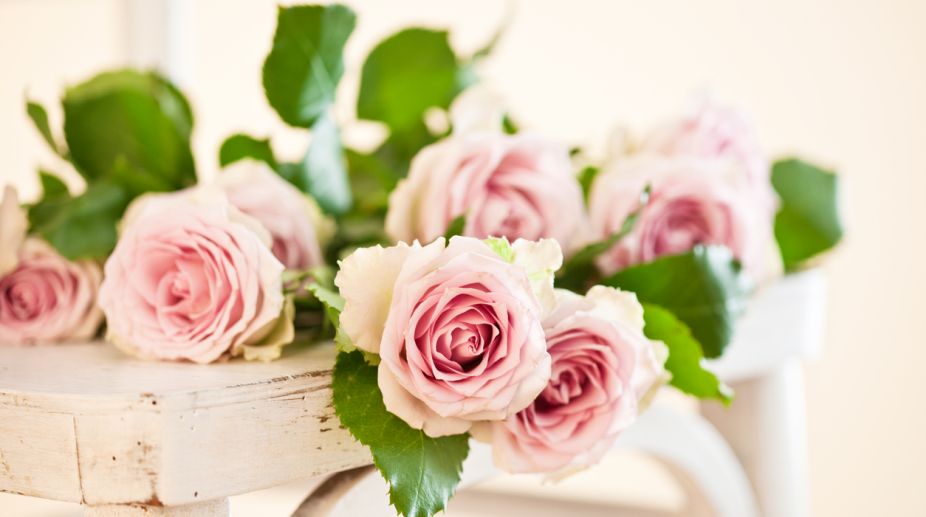 Health benefits of rose petals