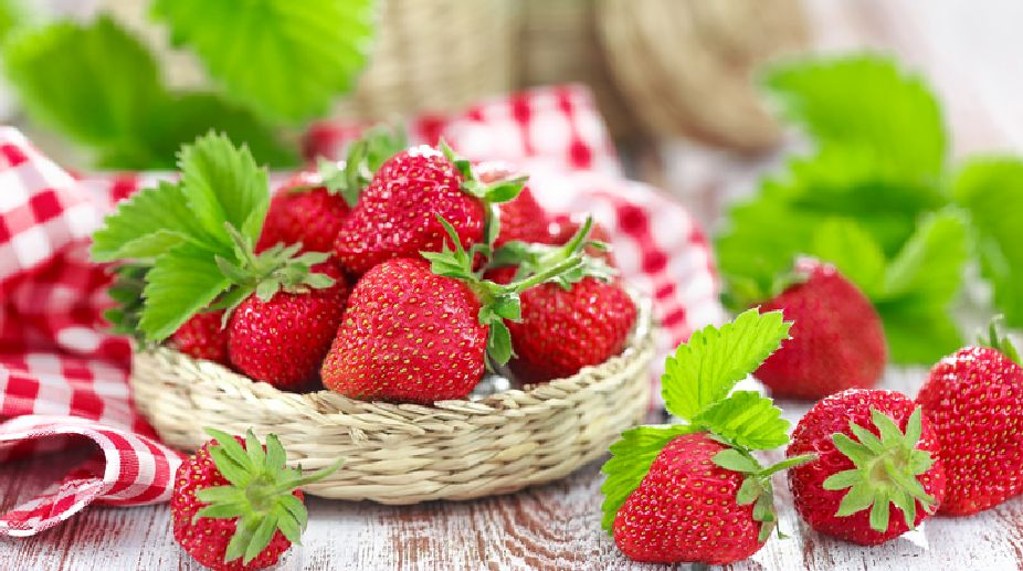 S Bengal farmers set to cultivate strawberry