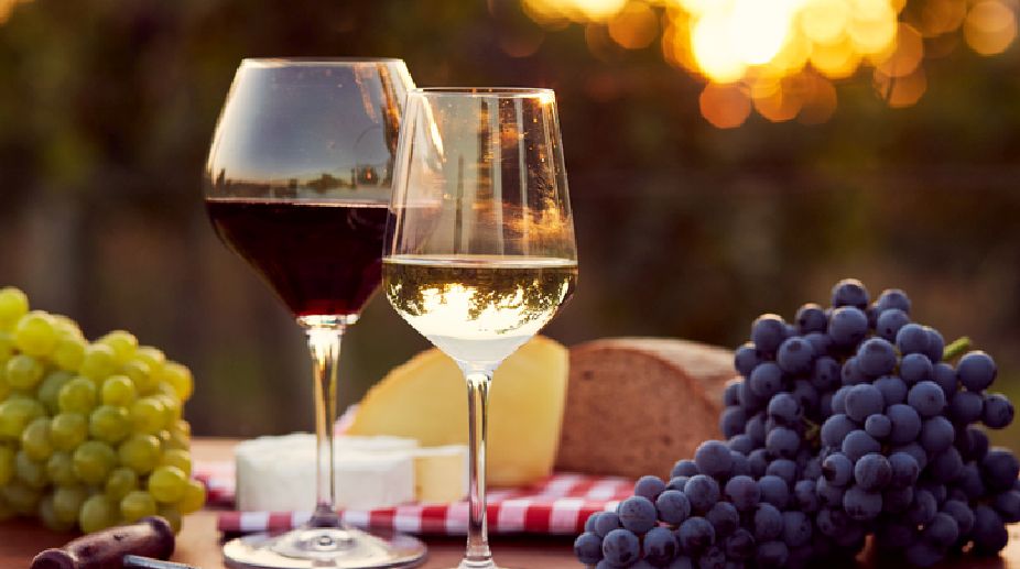 World’s oldest Italian wine found