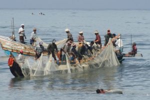 Four TN fishermen arrested by Lankan Navy