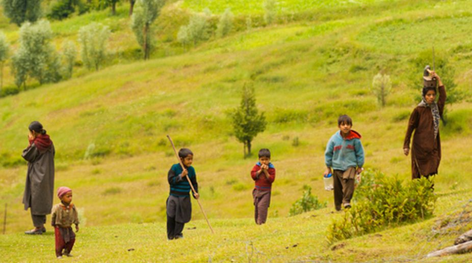 Saga of survival and endurance
