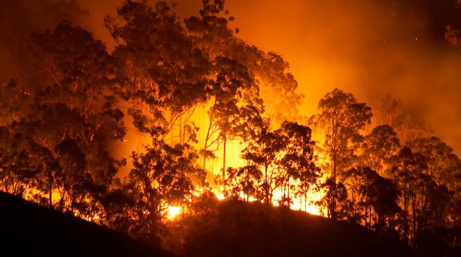 California wildfire toll reaches 29