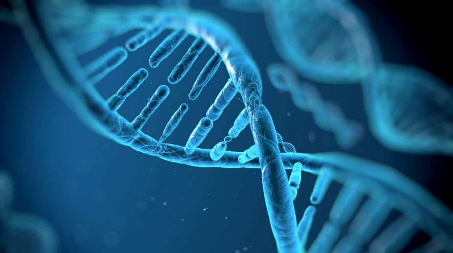 Six genes linked to preterm birth identified