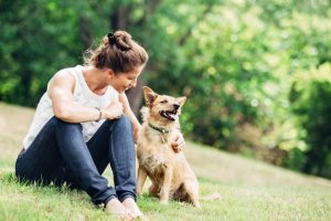 Dog care tips to beat the heat