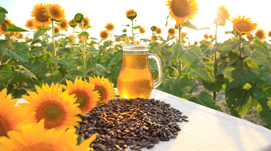 Sunny benefits of sunflower seeds