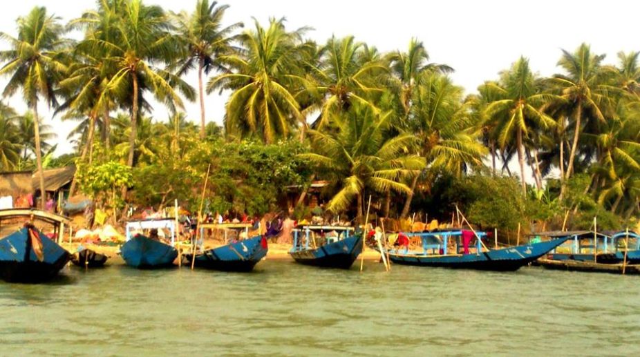 Promoting conservation through eco-tourism