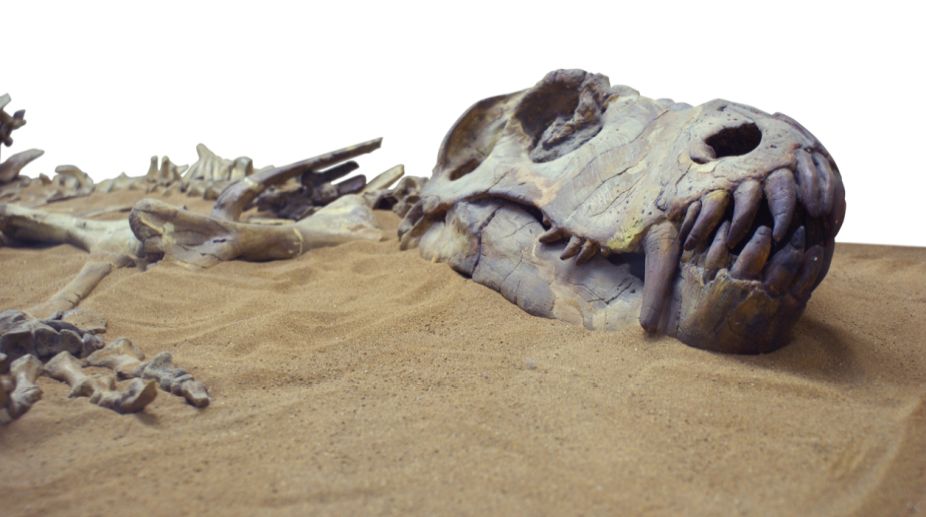 Fossil of Thailand’s biggest ever dinosaur found