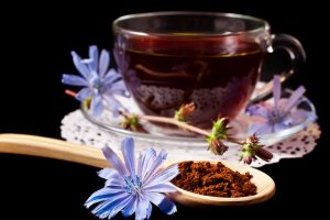 Why you should have chicory tea