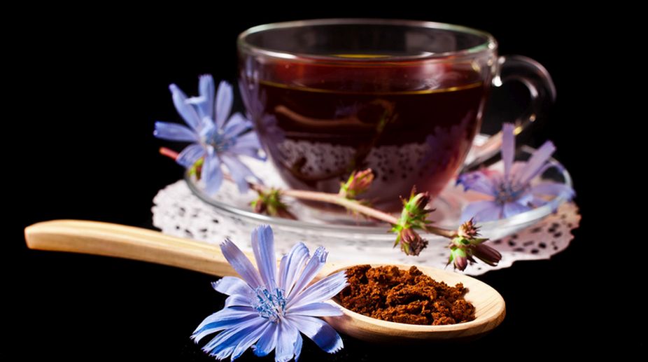 Why you should have chicory tea