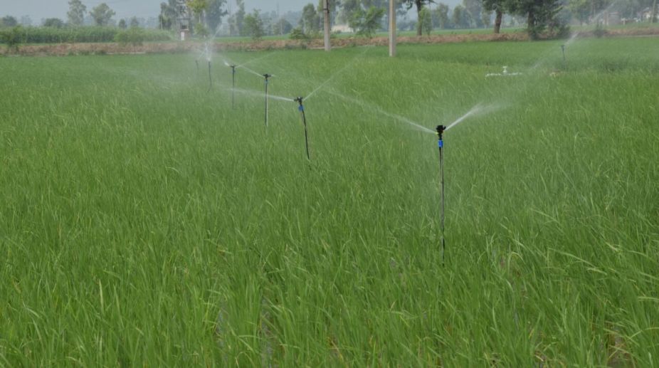 Complete irrigation project worth `10K cr soon: Rana Gurjeet Singh