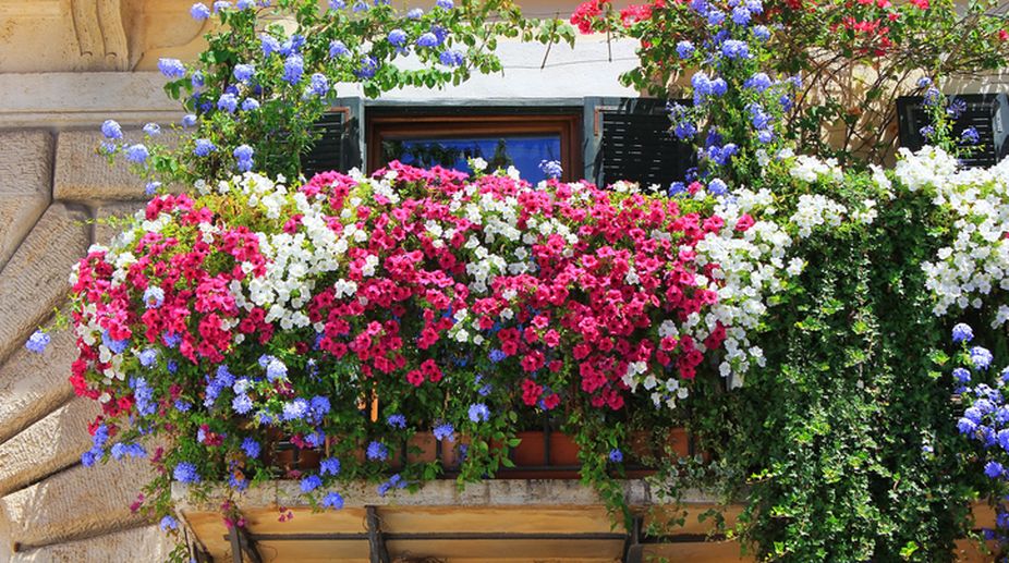 Diwali 2017: Pretty up your house with fresh flowers