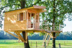Go tripping tree house