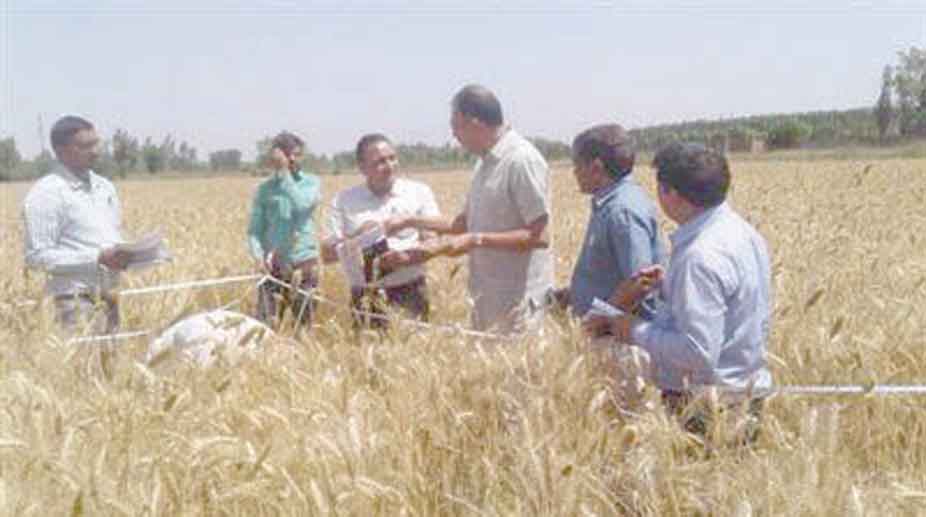 Haryana, UK to jointly stop post harvest losses