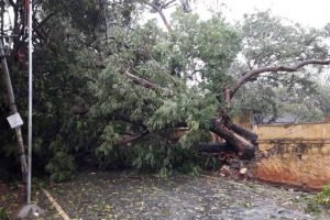 Cyclone Ockhi: 4 killed in Tamil Nadu; Kerala on high alert