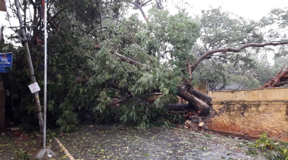 Cyclone Ockhi: 4 killed in Tamil Nadu; Kerala on high alert