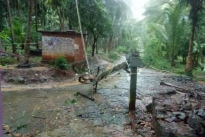 52 killed, 91 missing in Kerala after Cyclone Ockhi