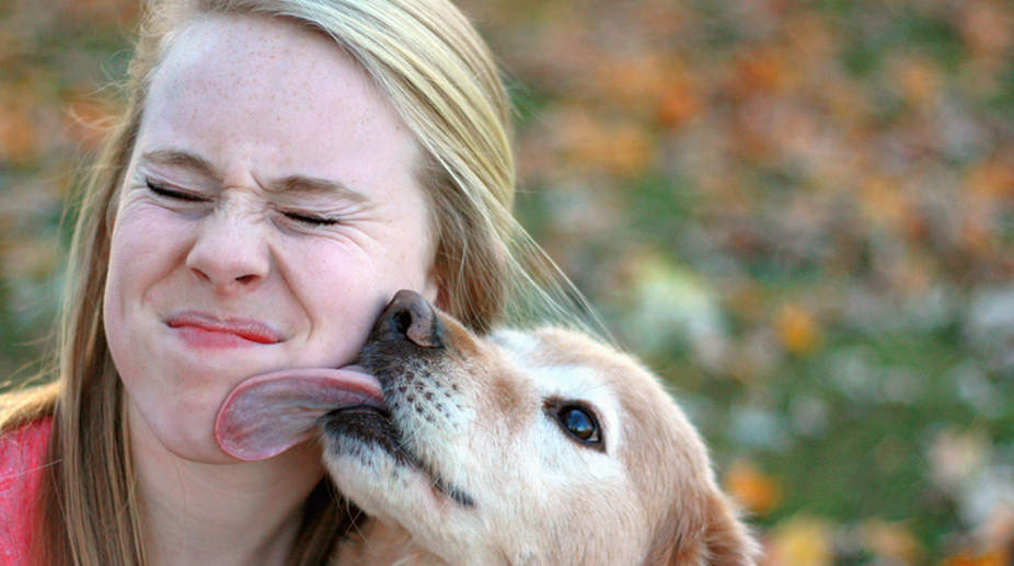 Dogs mouth-lick in response to angry humans
