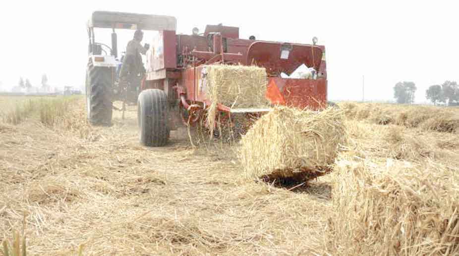 Punjab government to generate power through straw