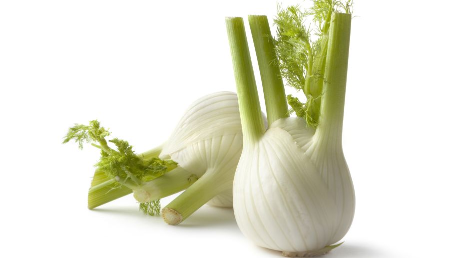 Highly Aromatic and Flavourful Herb – Fennel