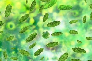 Bacterial changes early in life cause cystic fibrosis in kids