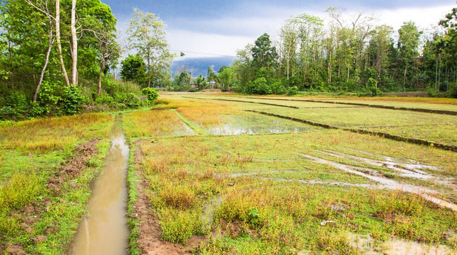 At 15, this girl plans to harvest energy from rainwater
