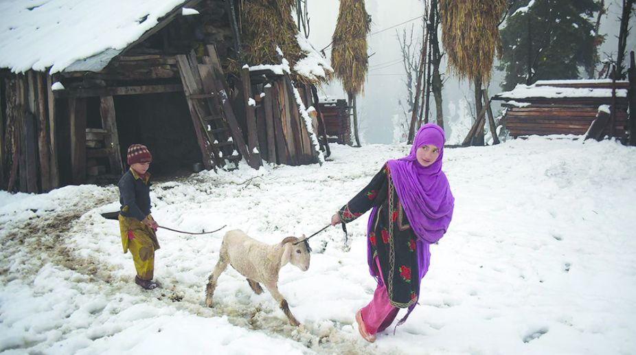 Snow season shrinking in Shimla