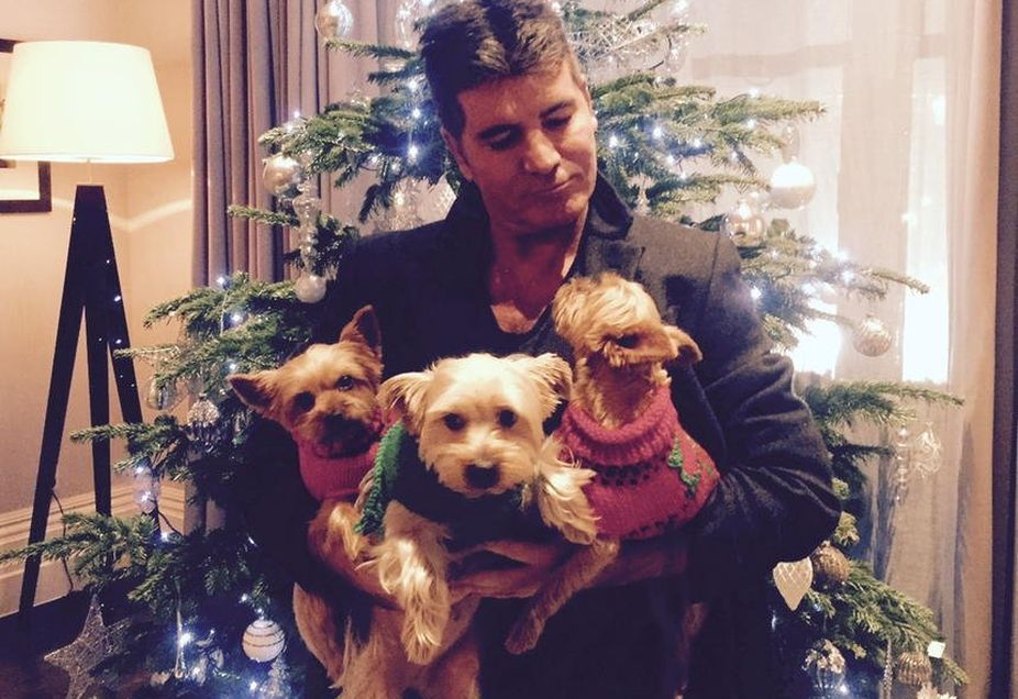 Simon Cowell plays with monkey on vacation