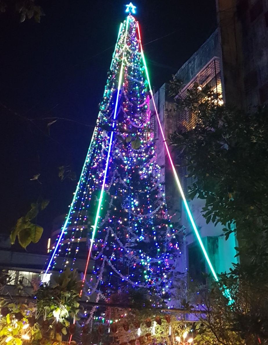 India’s tallest Christmas tree reaches up to the heavens