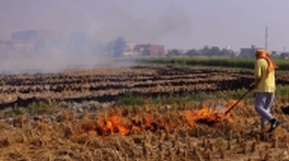 Use of smart machinery can check stubble burning, farm experts suggest