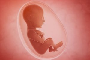 Exposure to air pollution in womb may shorten lifespan