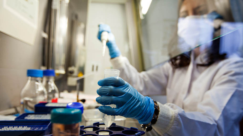 PU scientist invited to identify 9/11 human skeletal remains