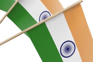 Use national flag made of paper not plastic: MHA