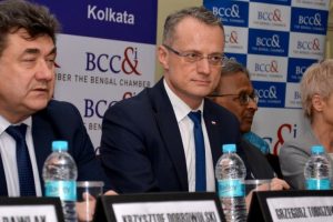 Polish companies may explore commercial mining in India