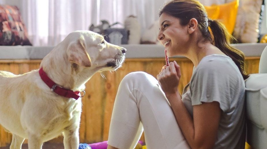 Have a look at Anushka Sharma’s day off with her pet ‘Dude’