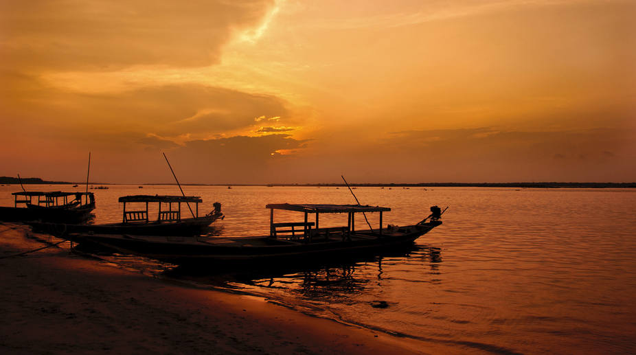 Winged guests find new wetlands, less birds sighted in Chilika