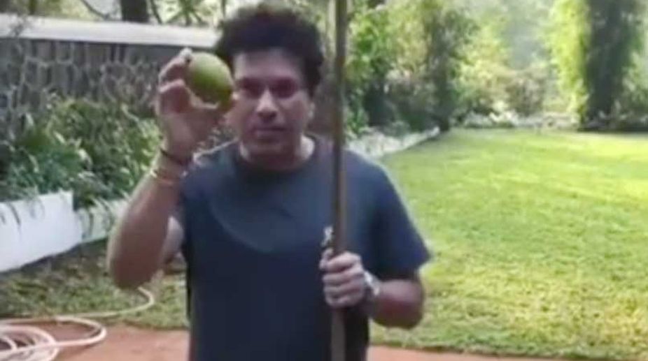 Sachin Tendulkar snaring a ‘mango—limboo’ is the best thing you will see today