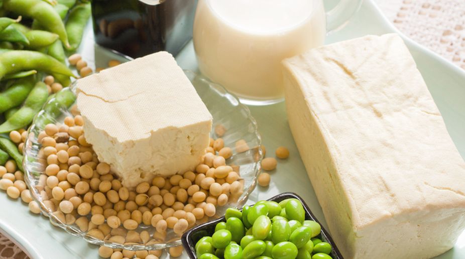 Tofu – Bean Curd – Protein Rich