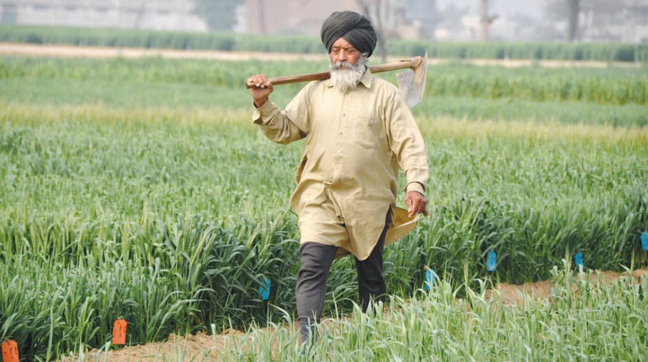 Punjab farmer unions to corner Cong govt