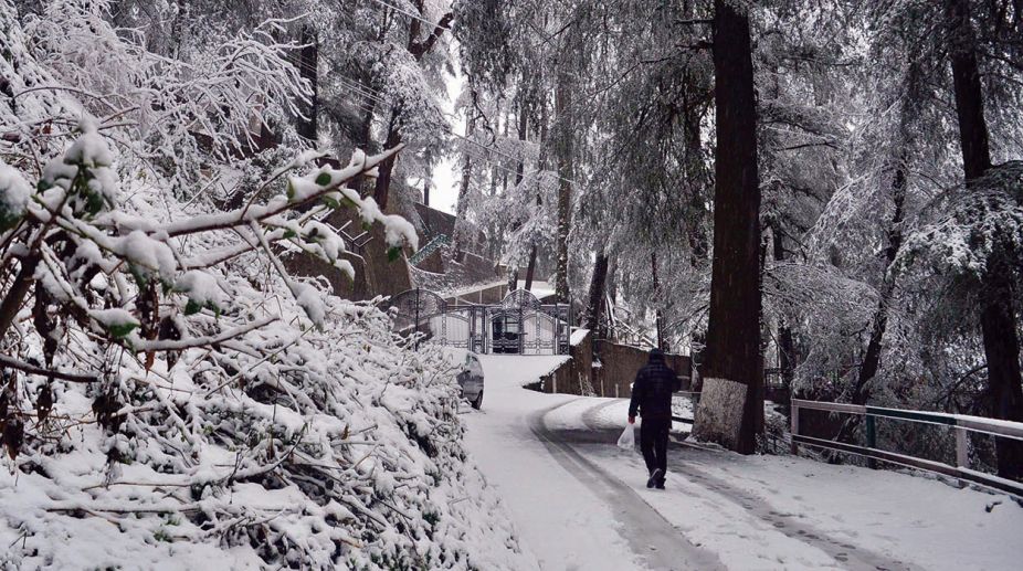 More snow in Shimla, Manali; vehicular traffic hampered