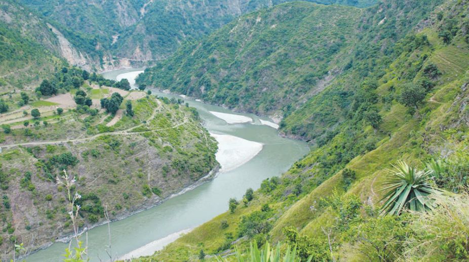 Dam to destroy forests in Himachal, Uttarakhand