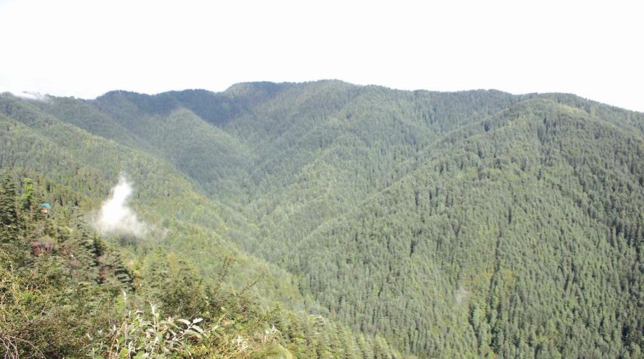 Forest cover expands in Himachal Pradesh